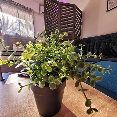 Parking Prive + Jardin + Clim Proche & Resto 公寓 *